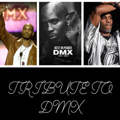 A TRIBUTE TO DMX BY BKLYNMYSTERY AKA MRNOSTUSHNESS