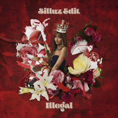 PinkPantheress - Illegal (Silluz Edit)