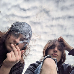 vsts w emery n zootzie prod i.v.