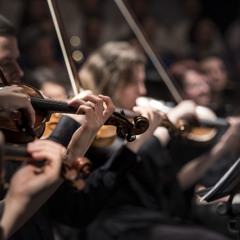 Strings On Fire (2025)