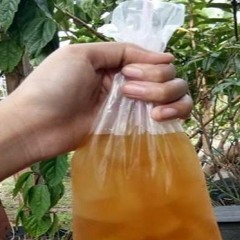 SABUNGKUIH TEH ES #CHRIS - ( RISKI MELVO ) REQ IKMAL POHAPO