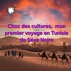Choc des cultures,  mon premier voyage en Tunisie  de Séve Noire
