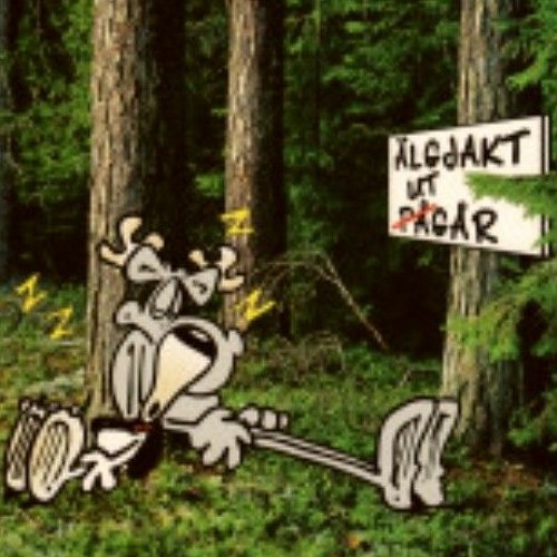 fried forest mix ..