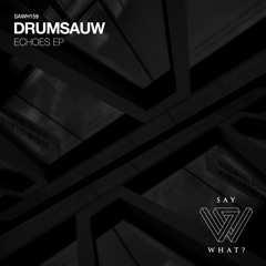 Drumsauw - Echoes (Vocal DJ Tool)