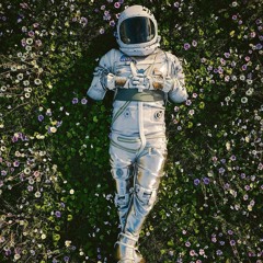 Cosmic Brian Theory