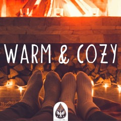 Warm & Cozy ✨ - A Folk/Acoustic/Chill Playlist