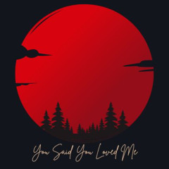 You Said You Loved Me