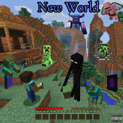 Flashh Woo - New World