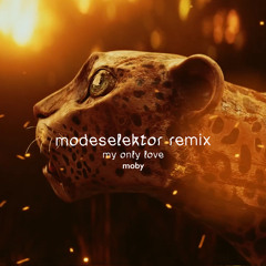 My Only Love (Modeselektor Remix)