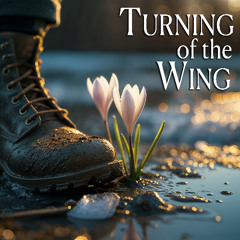 Turning of the wing
