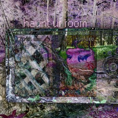 haunt ur room