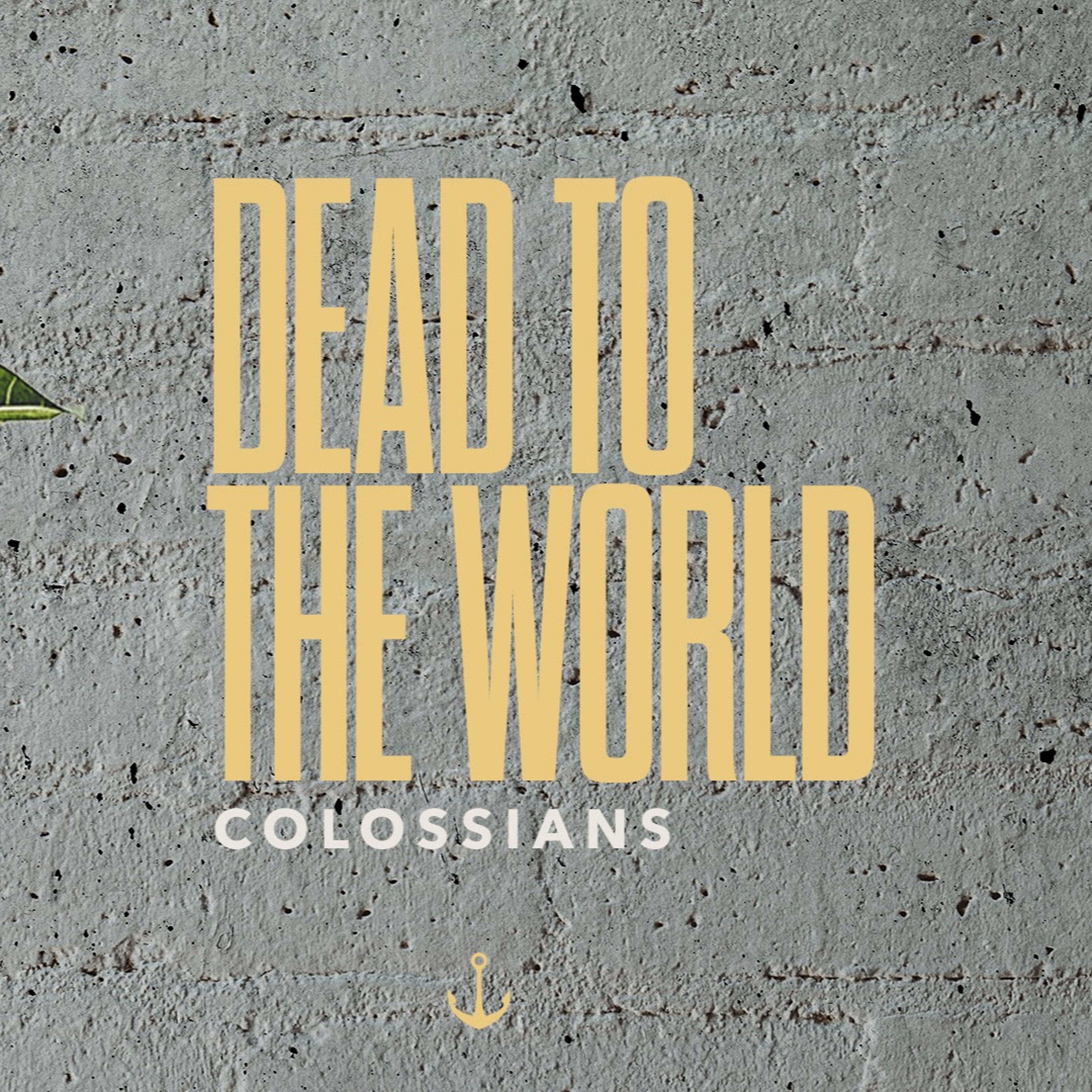 Dead To The World