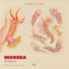 Morera @ Podcast Connect #228 - São Paulo, SP