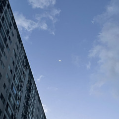 김필선-봄날(cover)