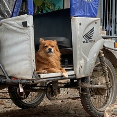 Solo Peruanitas (Peruvian Songs Only!)