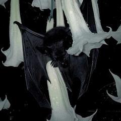 hammah (devilship)