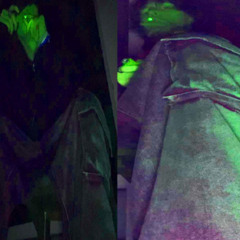 mortal combattt (tempestXIII)