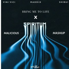 Vini Vici Vs. Maddix Ft. Shibui - Spiritum X Bring Me To Life (Malicious Mashup)