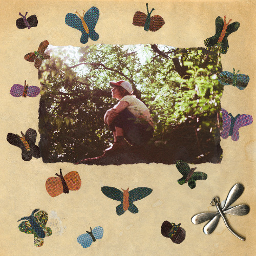 Mulberry Tree (Sam's Version)