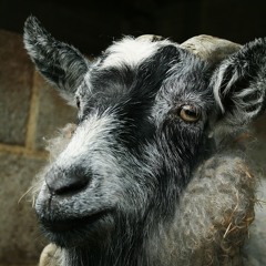 What goes around comes around