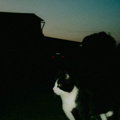 Electro liveset 07/2025