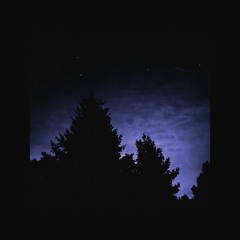 In The Dark