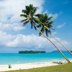 From Vanuatu To Zanzibar And Vice Versa (First Class)