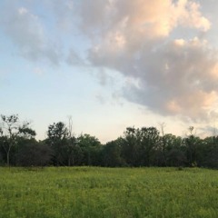 follow me follow you