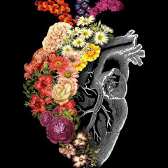 ﮼سورةمريم _ ﮼محمود،الشحات