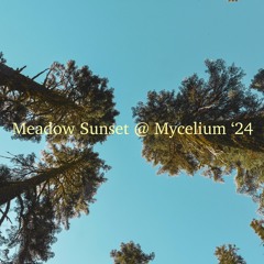 Meadow Sunset @ Mycelium Fest 06.22.2024