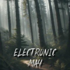 Electronic - May 2024