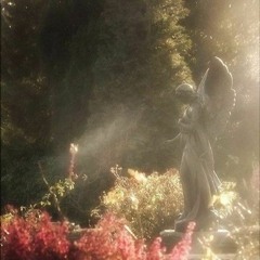 Never Should Have Said Hello ()Dragged()