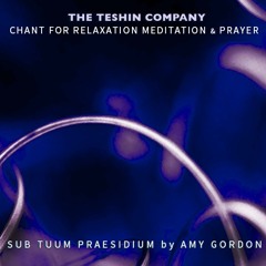 Chant for Relaxation Meditation & Prayer #2: Sub Tuum Praesidium
