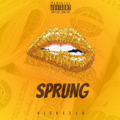 Vickeelo ~ Sprung