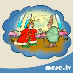 Móra Ferenc: Gergő juhász kanala | MESE TV