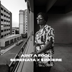 SerenataIAintAFool.m4a
