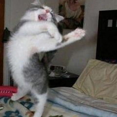 THE BUTTON EYES | Cazqui's Brutal Orchestra