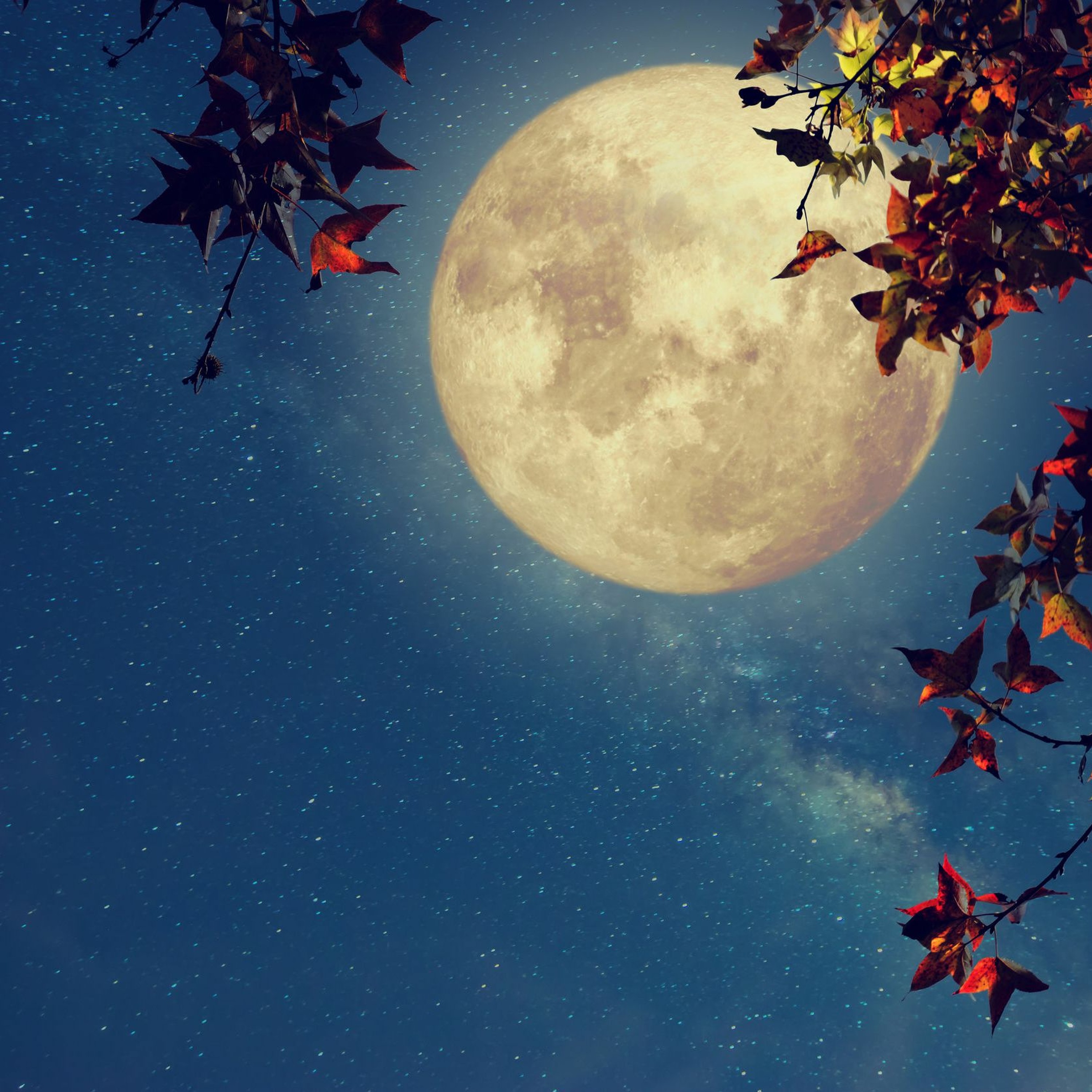 Lun Moonatik