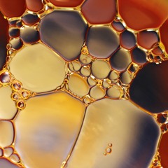 Neogenesis