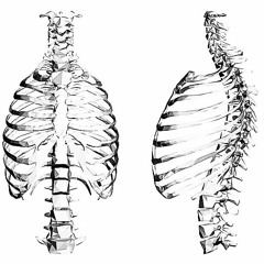 ribcage [prod. asdu.i]