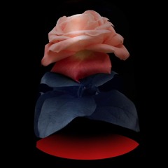 K- Regeneración cíclica