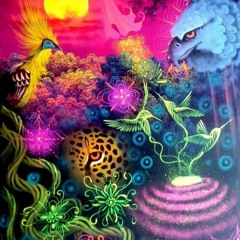 TranceFigured Night