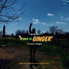 Pine N Ginger VII (Afrobeats x Reggae Blends)