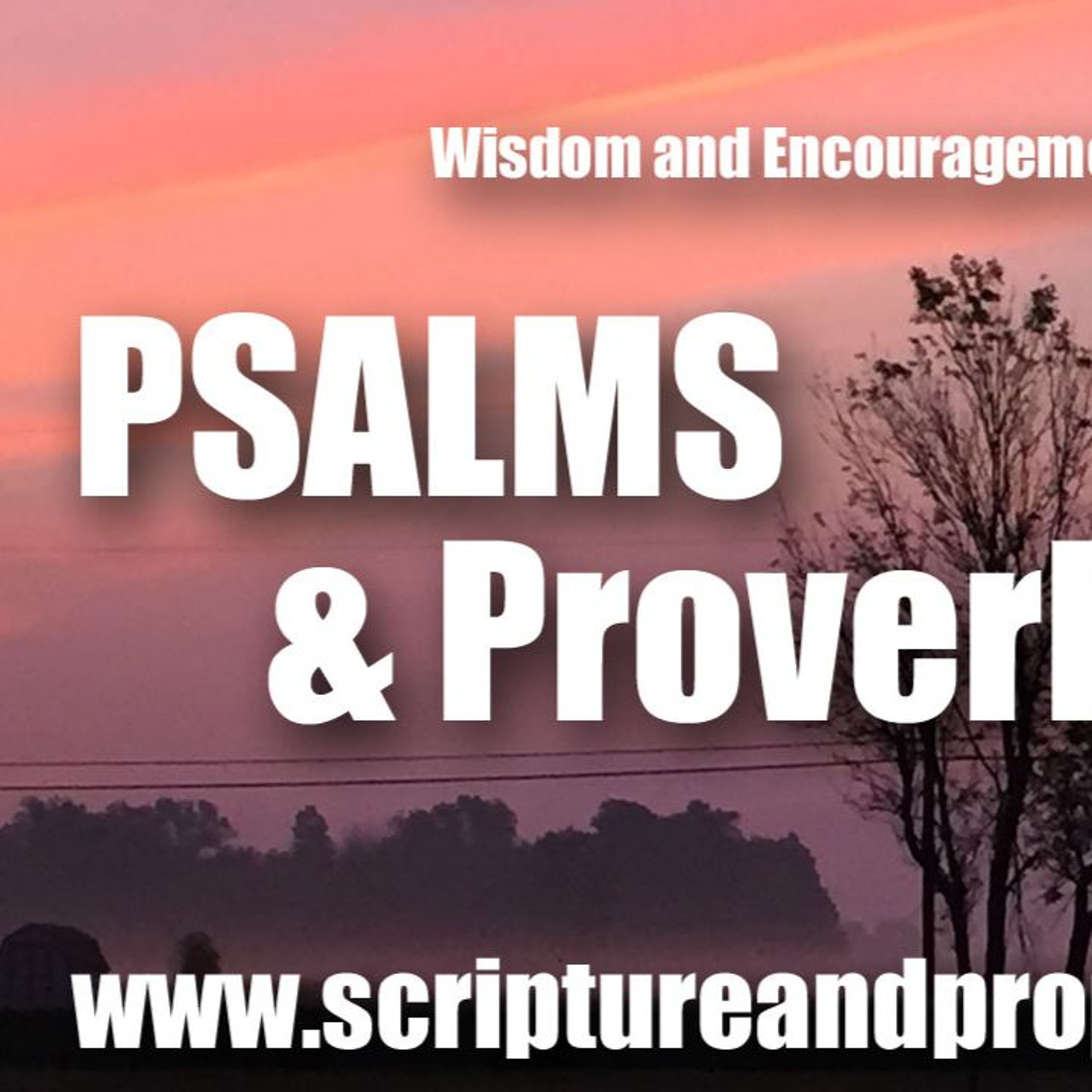 Psalm 36, Ecclesiastes 3 & Wisdom of Solomon 5: There is No Fear of God Before His Eyes
