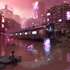 Miami Bay