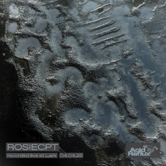 RosieCpt // 04.04.25 @ Lark