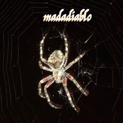 MIND #25 Dubstep Spider!