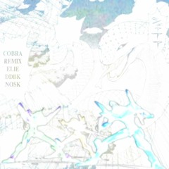 cobra remix w/ ddbk + nosk (elie)