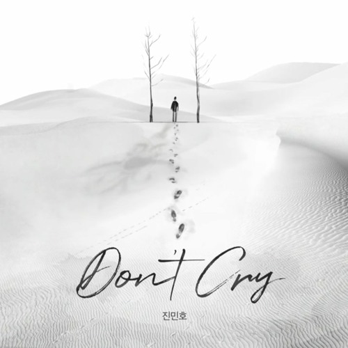 진민호 (Jin Minho) - Don't Cry