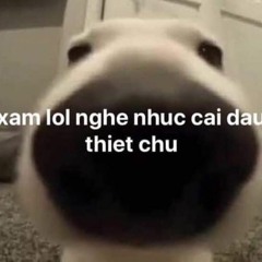 list nhac cua may thang xam lz